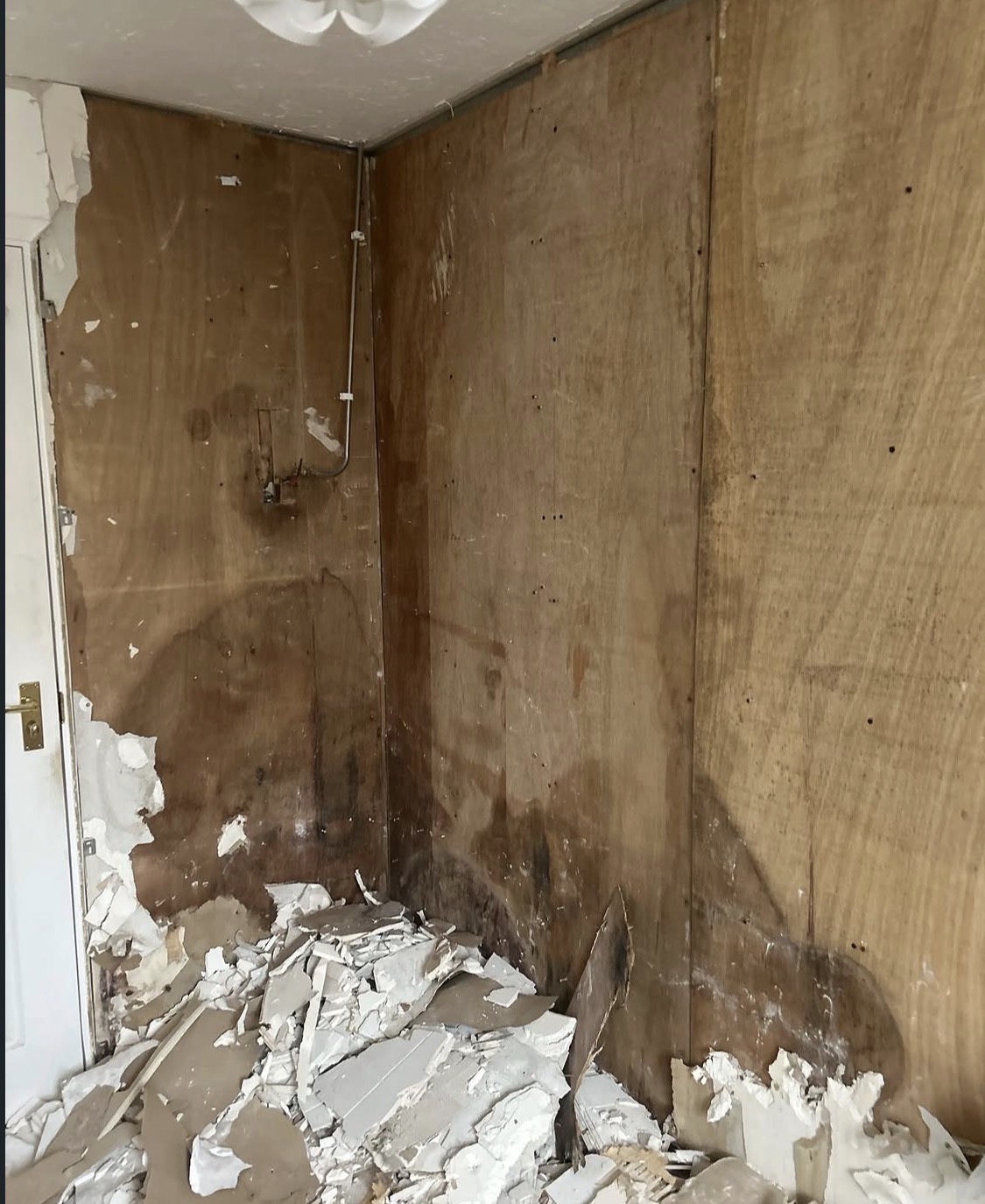 Bathroom stripped back to bare plywood walls with debris on the floor